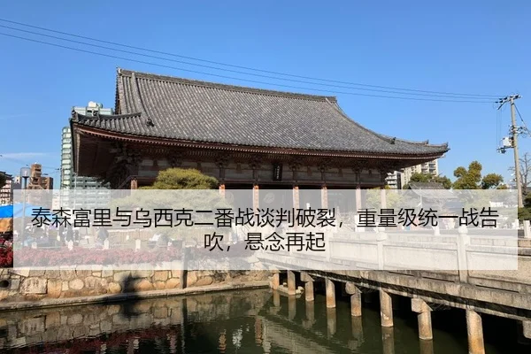 泰森富里与乌西克二番战谈判破裂，重量级统一战告吹，悬念再起