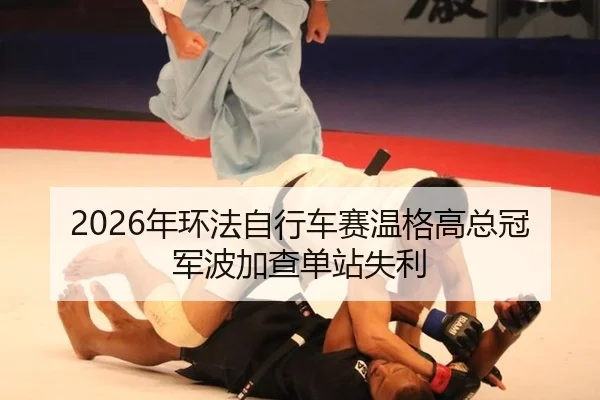 nian-huan-fa-zi-xing-che-sai-wen-ge-gao-zong-guan-jun-bo-jia-cha-dan-zhan-shi-li-2-134.jpg